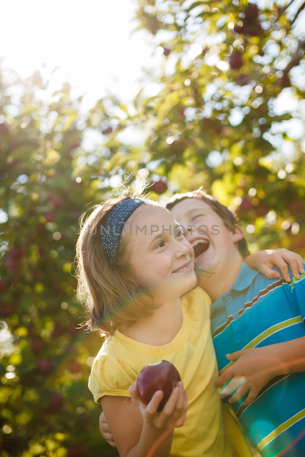 Brother and sister laughing and eating apples in an orchard