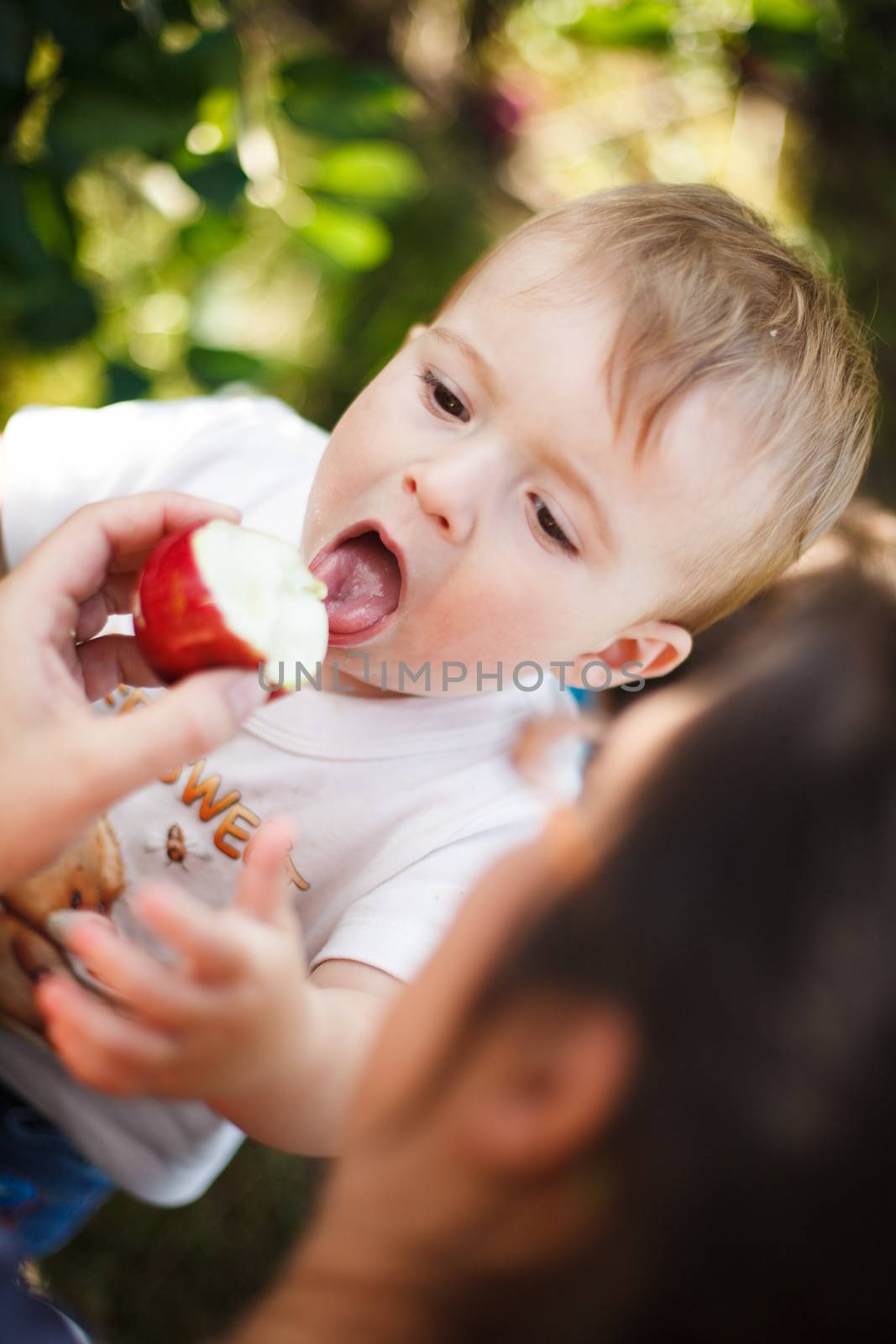 Mother helping her baby eat an apple