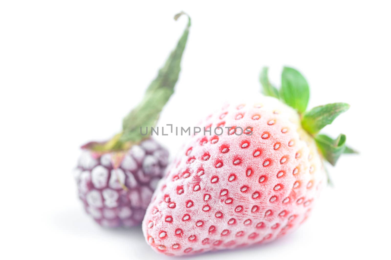big red strawberry and blackberry in frost  isolated on white