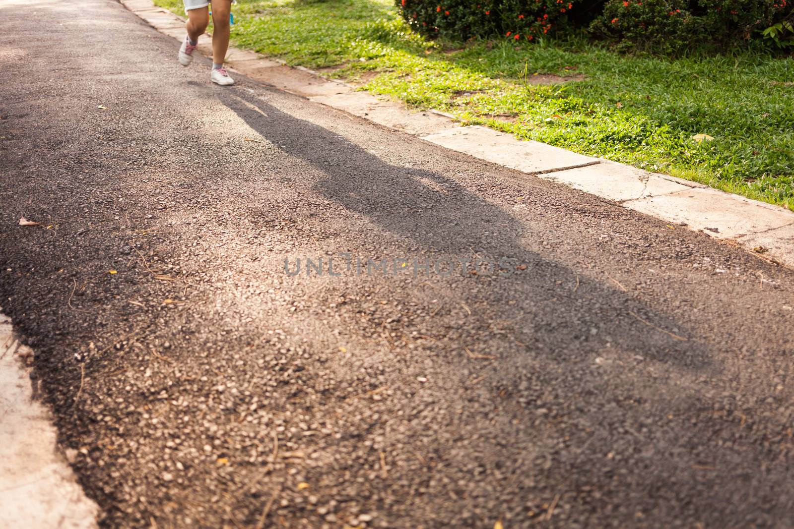 shadow of woman running jogging on street in park