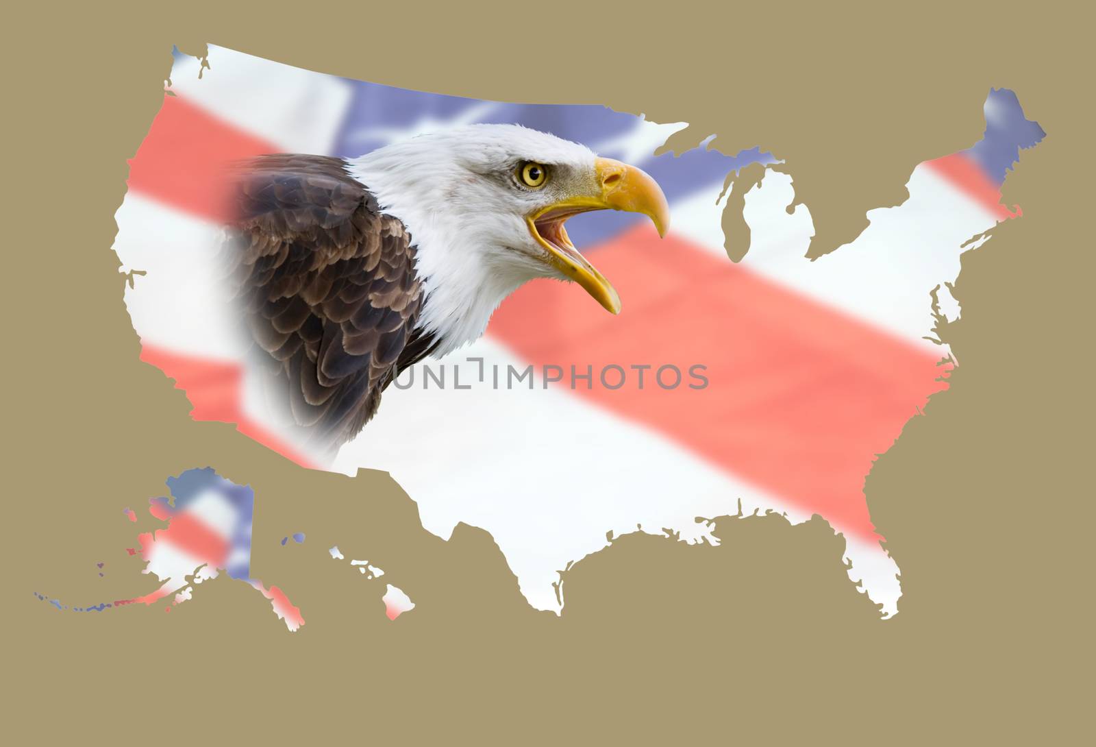a map of eeuu with a flag background and an bald eagle