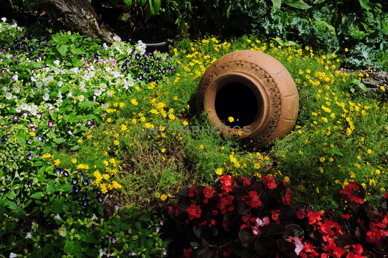 Flower garden with a jar inside 