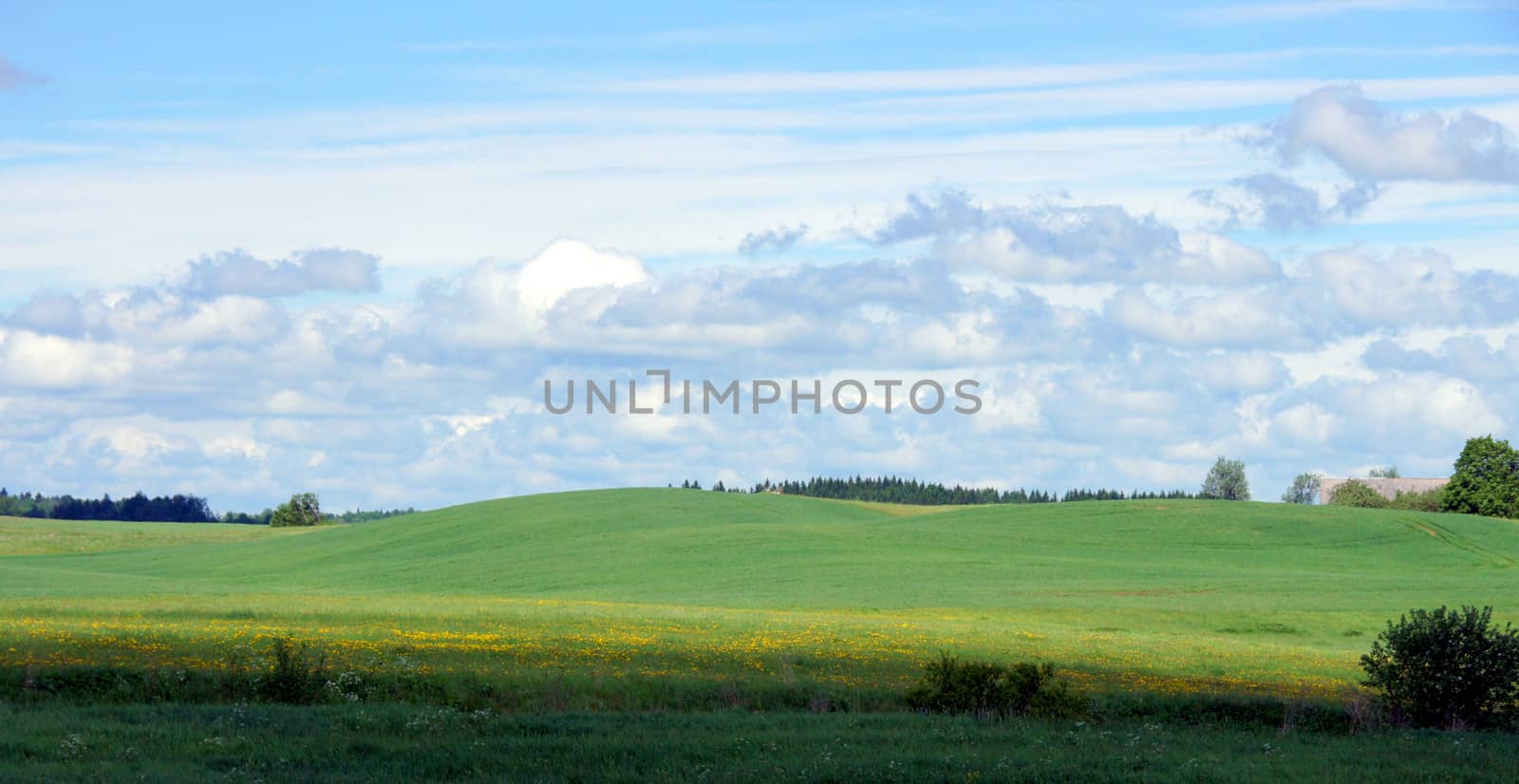 Meadow and clouds on a background of the sky