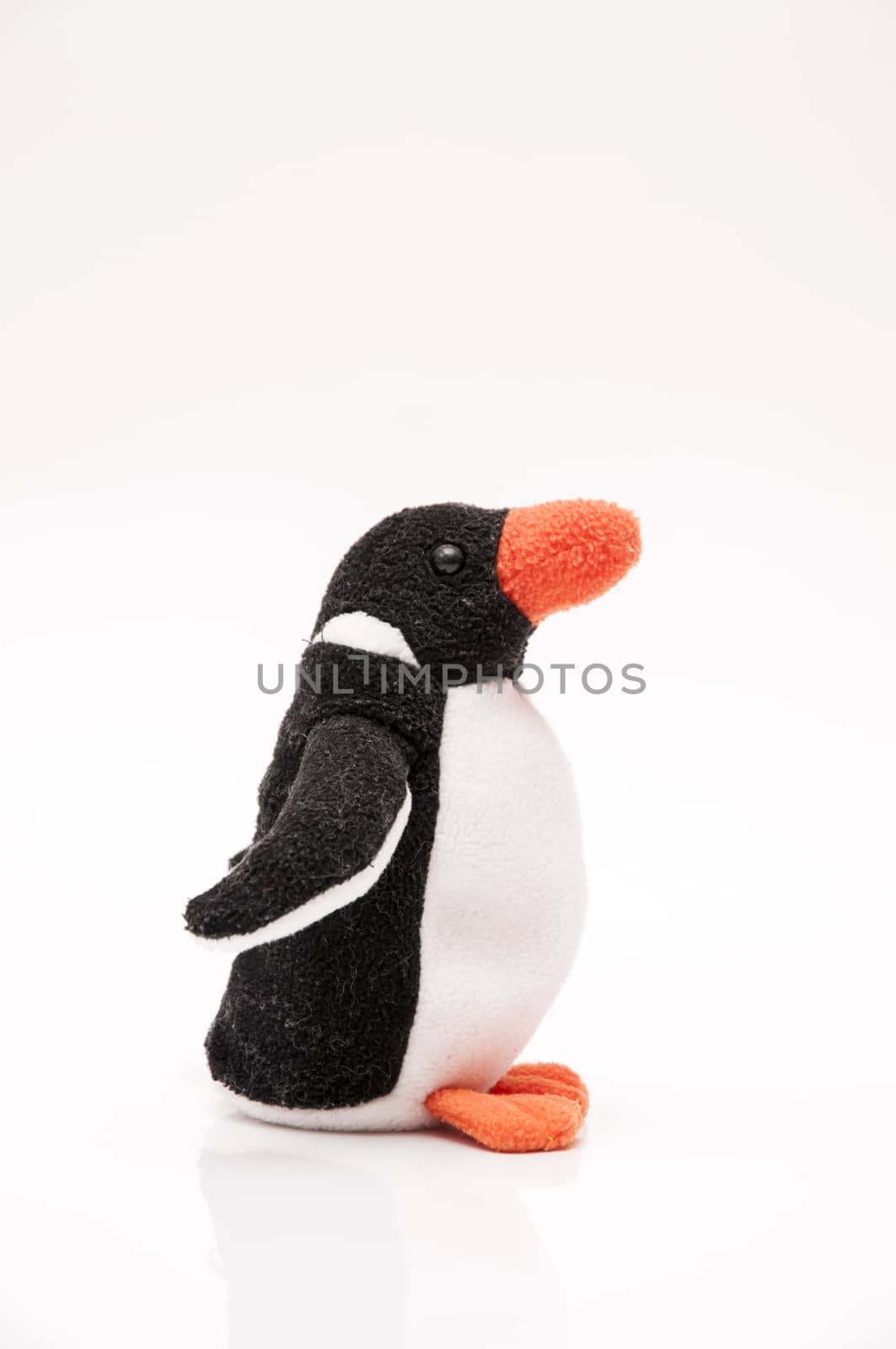 penguin plush very soft black color