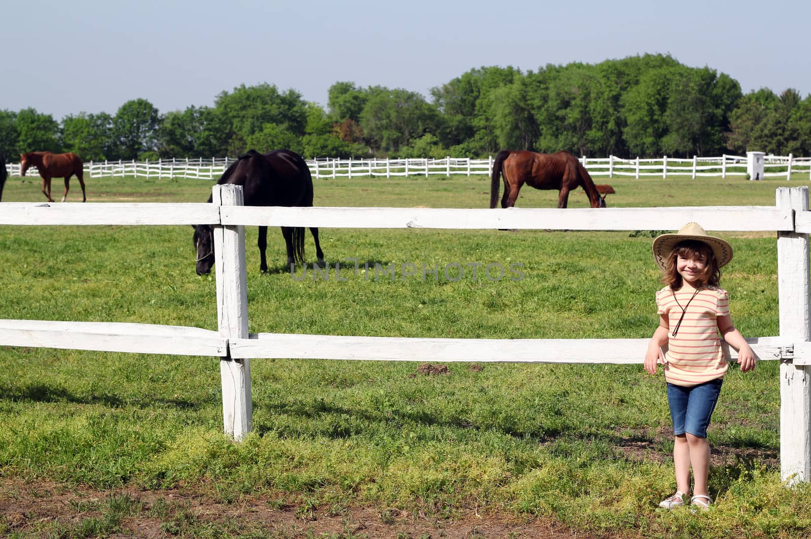 little girl with horses on farm by goce