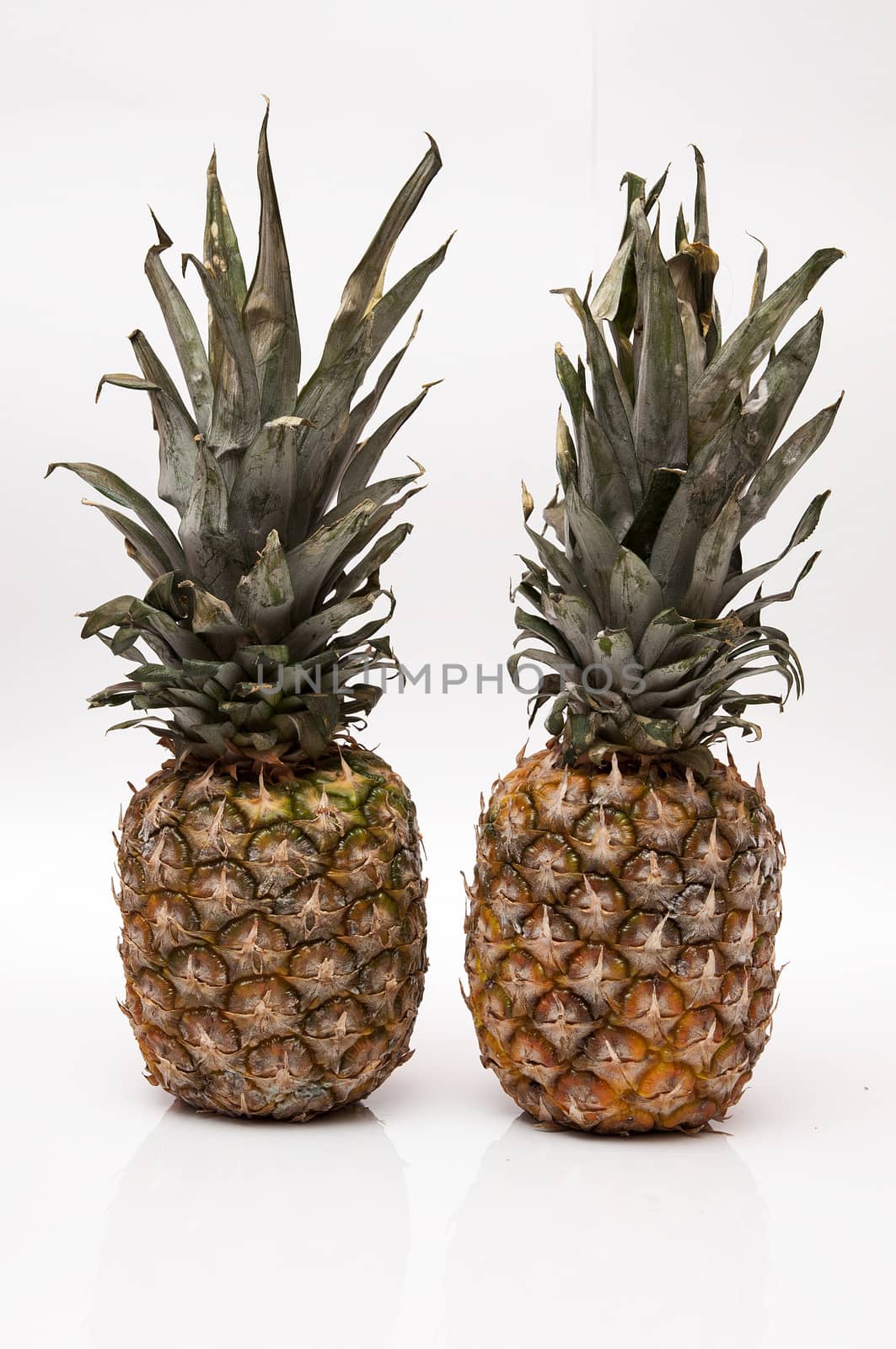 very sweet and juicy pineapples