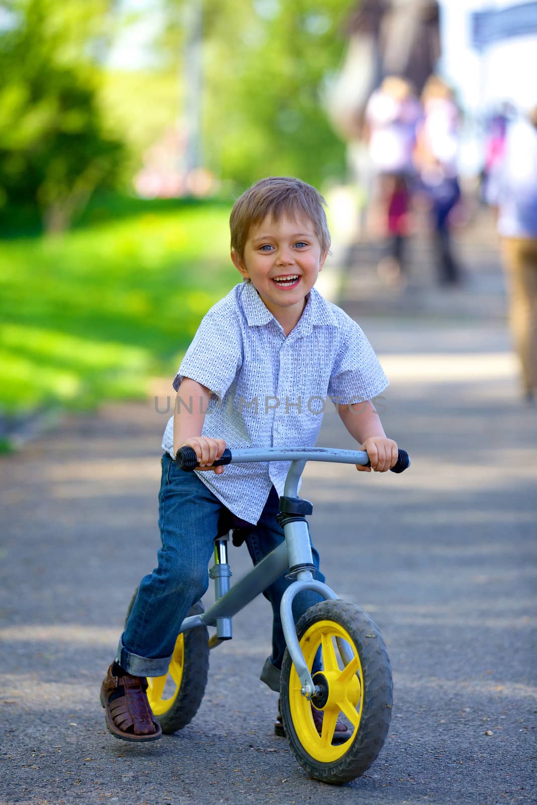 Little boy on a bicycle in the summer park