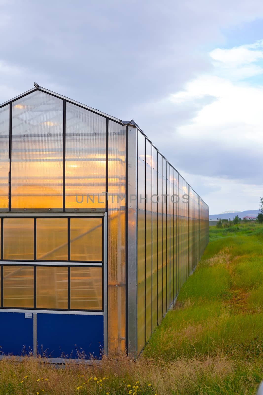 Shining greenhouse geothermal heated, Hveragerdi, south Iceland. Vertical view