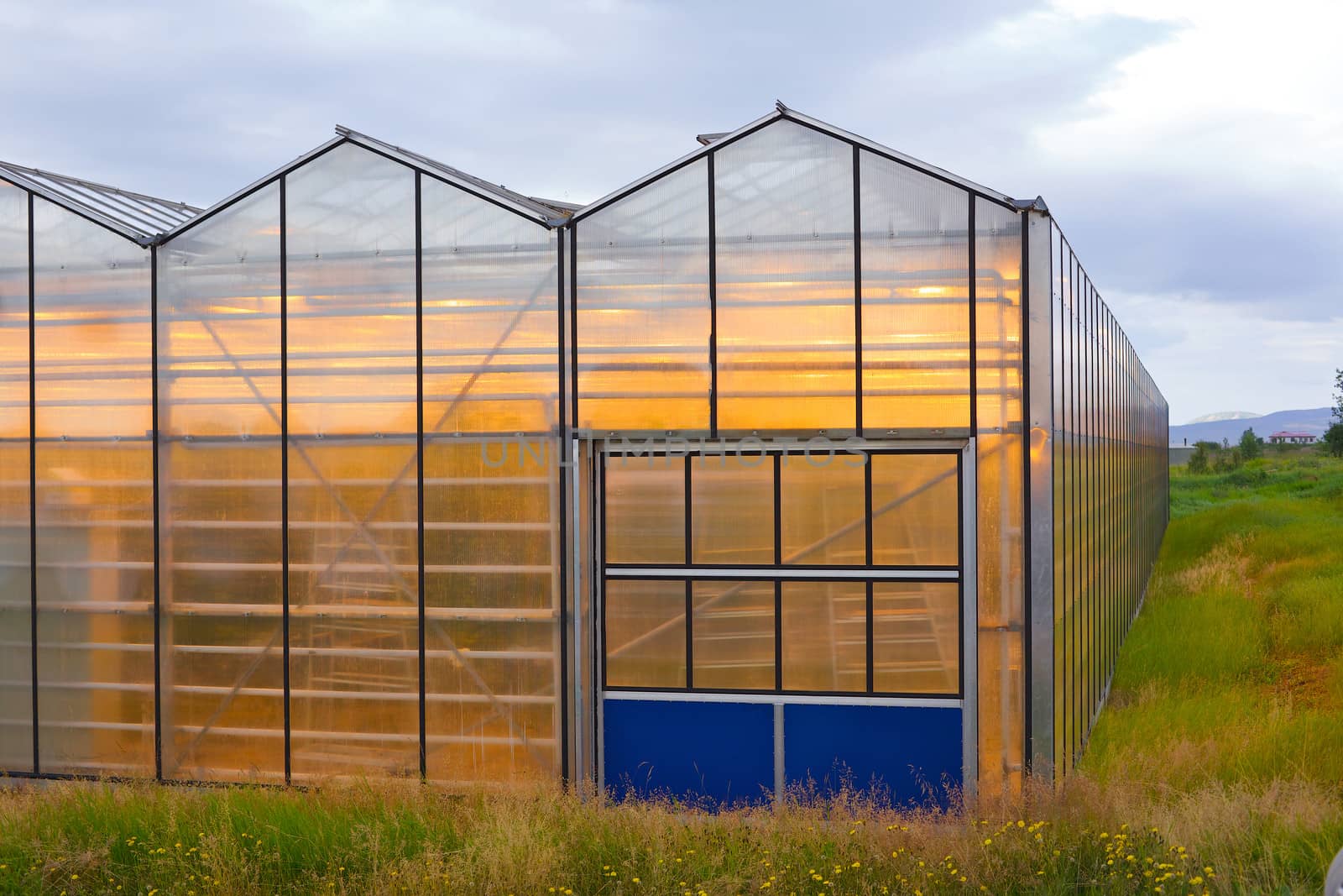 Shining greenhouse geothermal heated, Hveragerdi, south Iceland