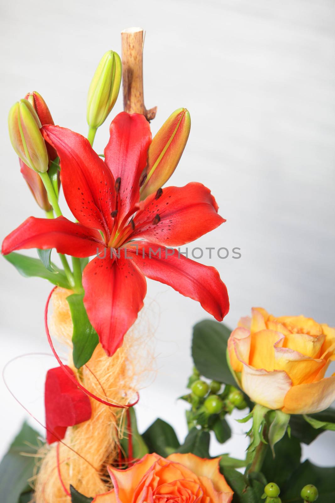 Beautiful formal floral display with a striking deep orange red tiger lily and roses on a white background