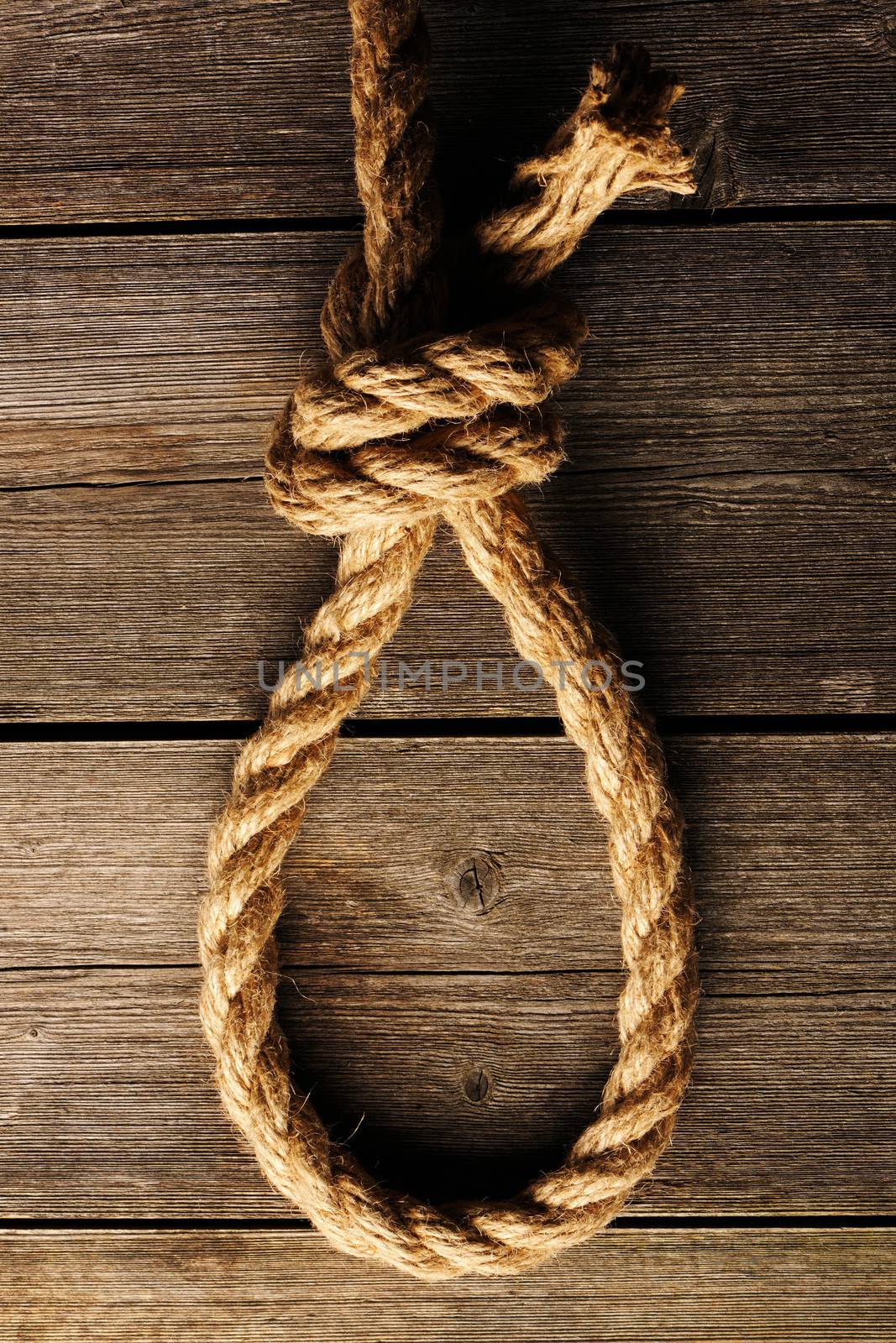 Rope noose with knot  by haveseen