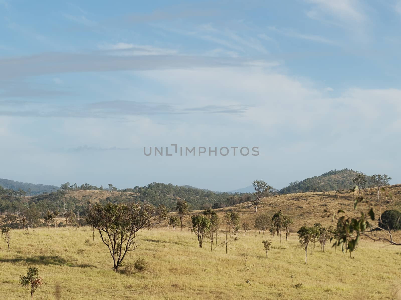 Rolling hills countryside and blue sky Rural Queensland Australia