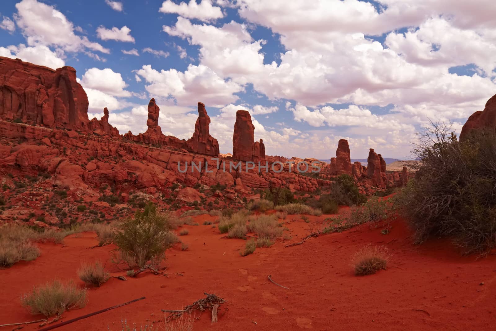Red Desert, Arches National Park, Utah, USA