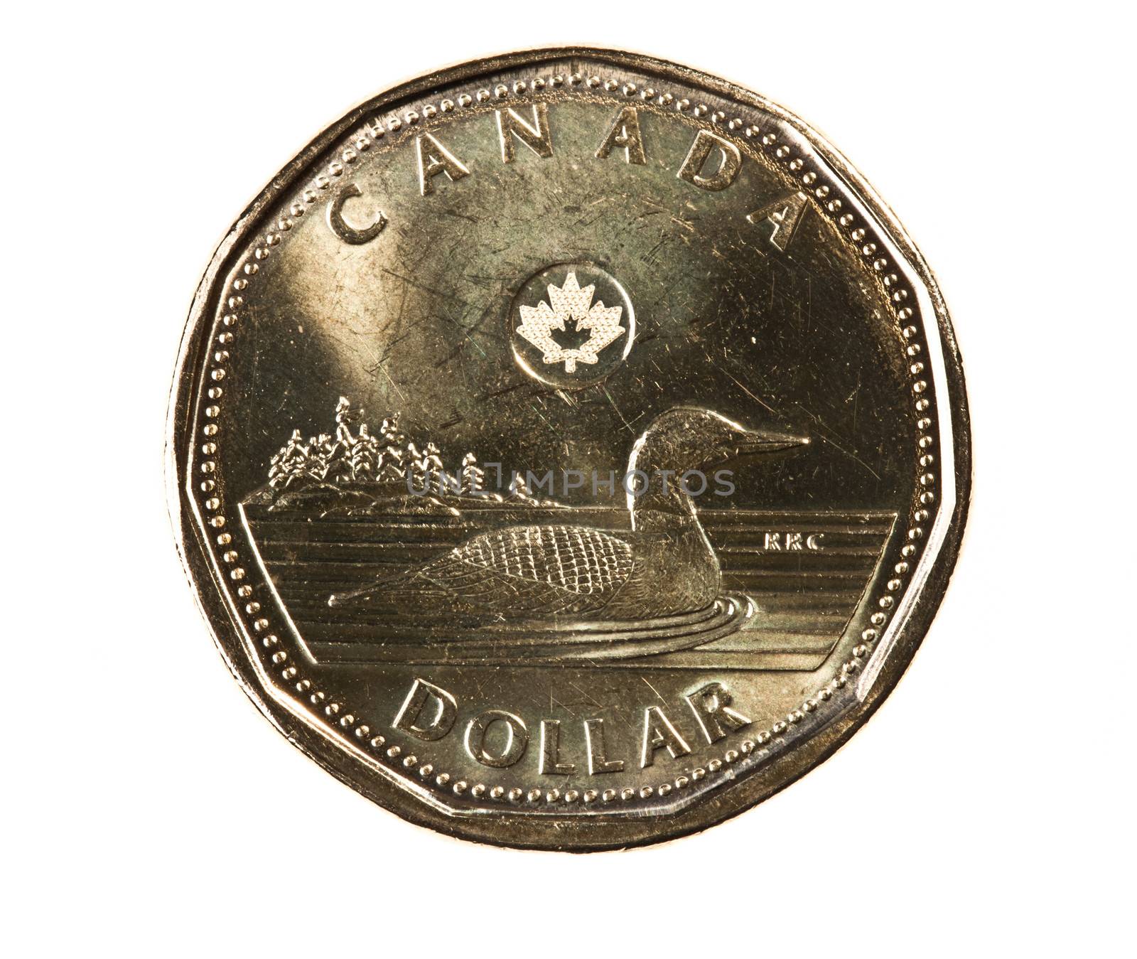 A brand new 2012 shiny Canadian dollar coin with a loonie