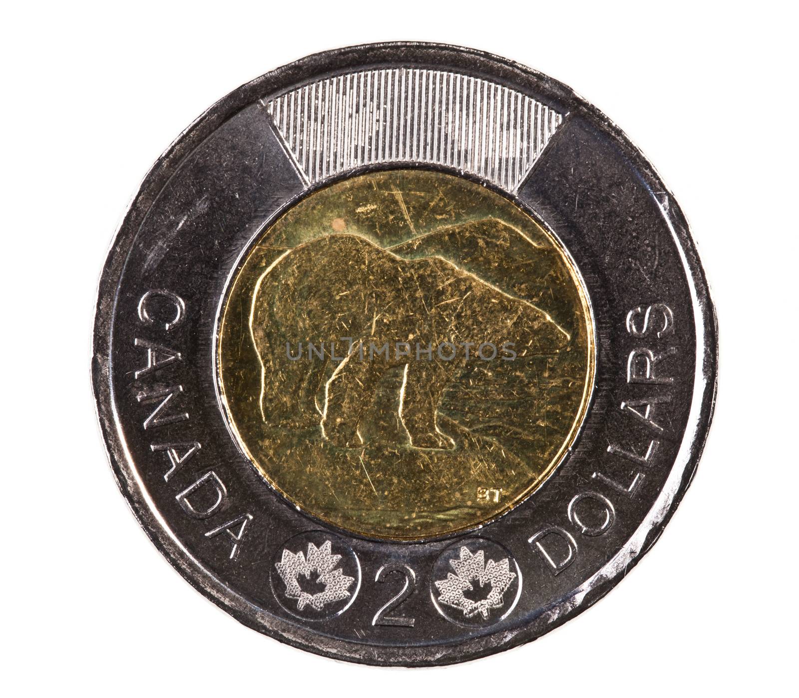 A brand new 2012 shiny Canadian two dollar coin with a polar bear