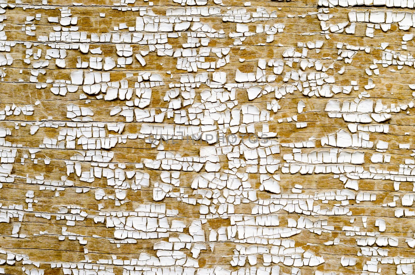 Background texture of white cracked paint on wooden surface. 