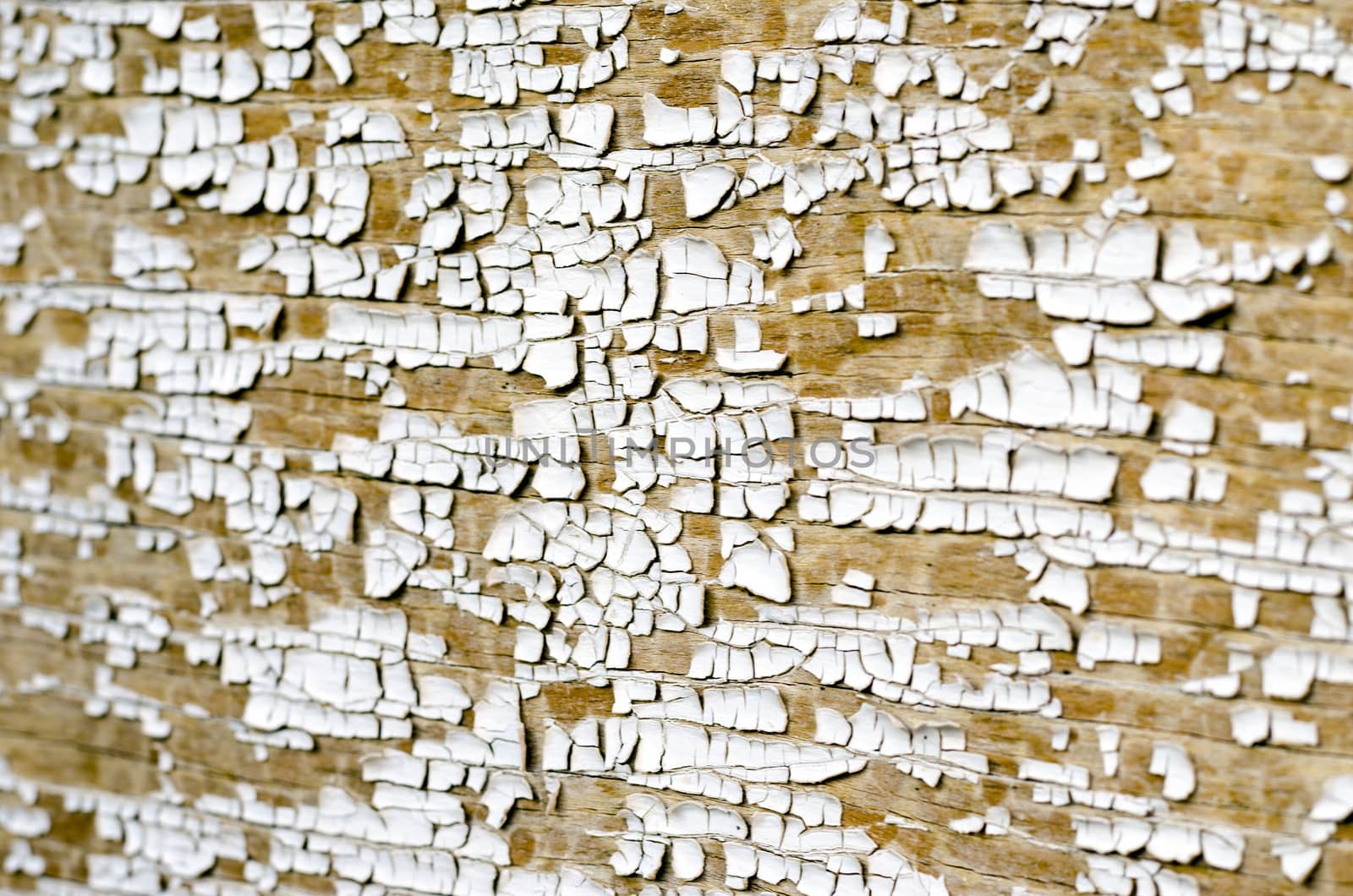 Background texture of white cracked paint on wooden surface. 