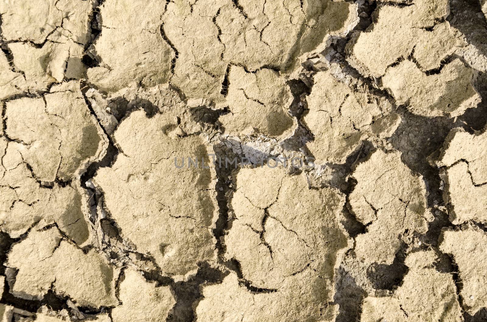 Close up texture of dry and cracked earth.