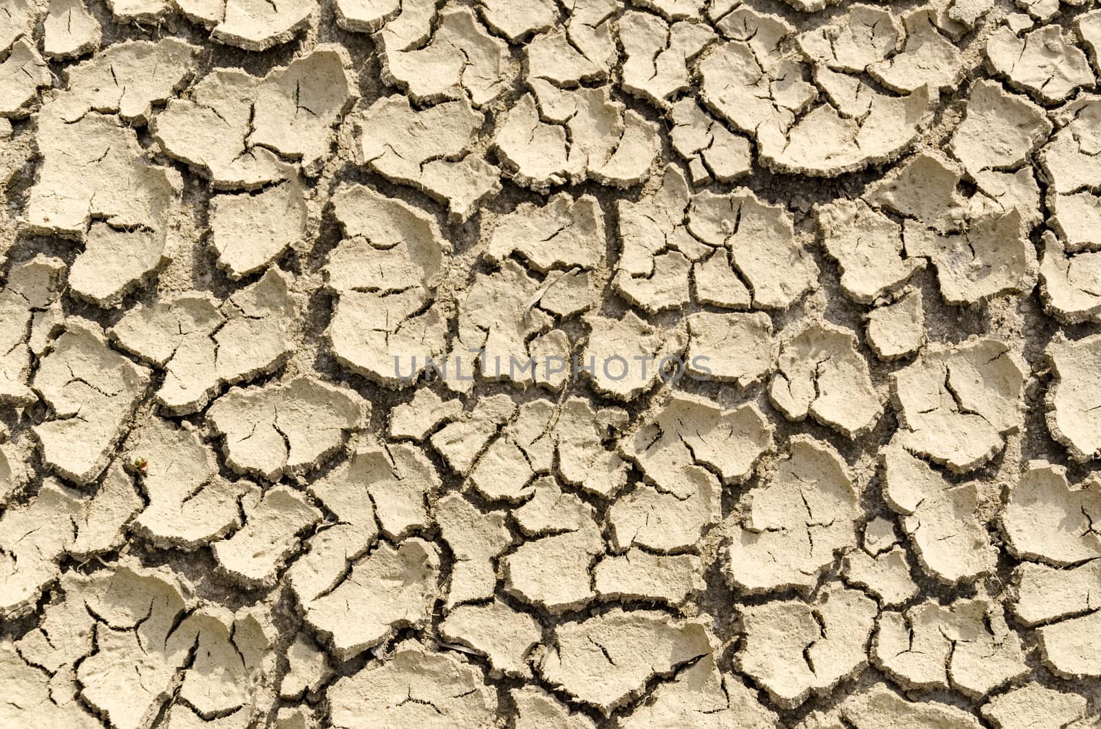 Close up texture of dry and cracked earth.