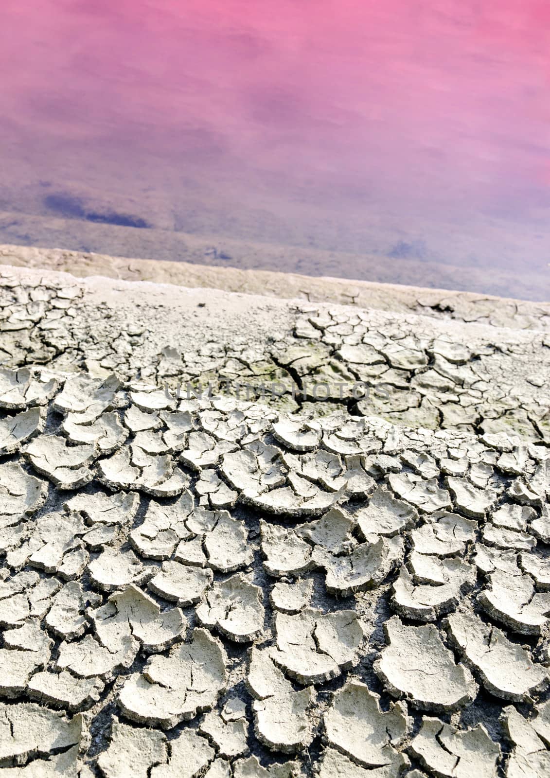 Dry cracked earth near poluted lifeless lake.