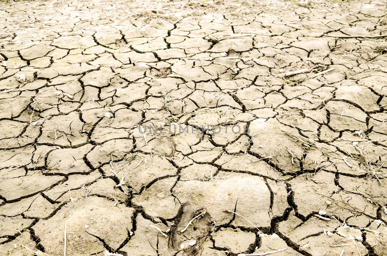 Close up texture of dry and cracked earth.