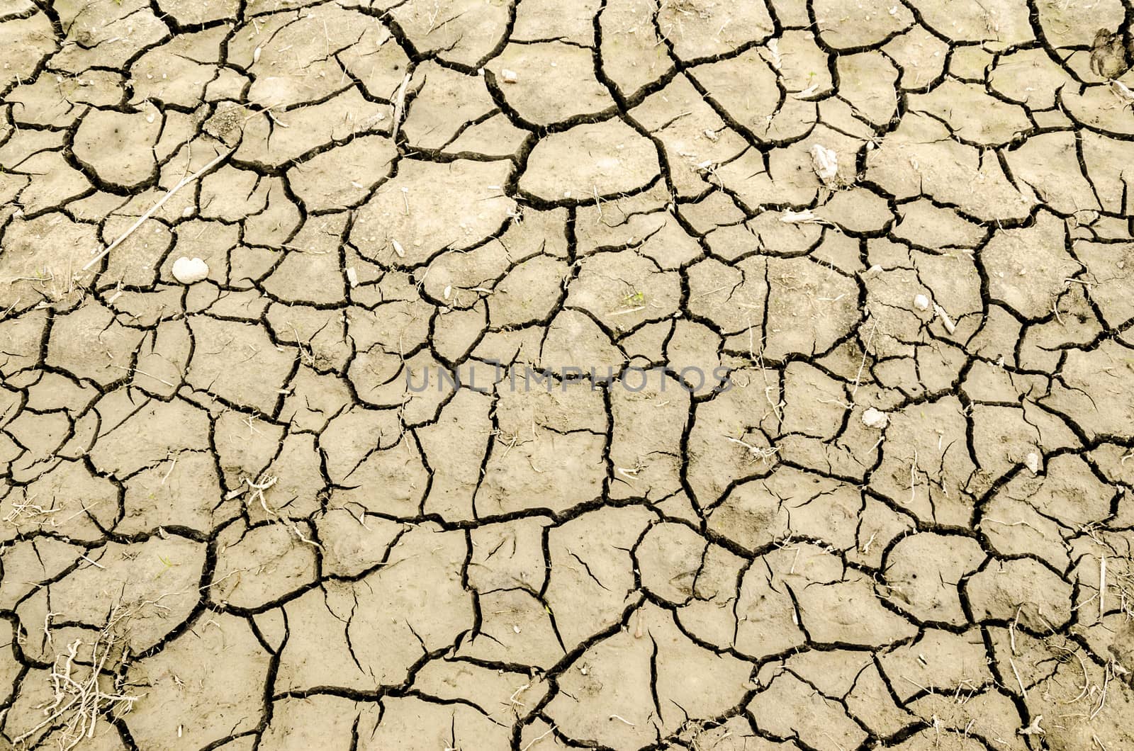 Close up texture of dry and cracked earth.