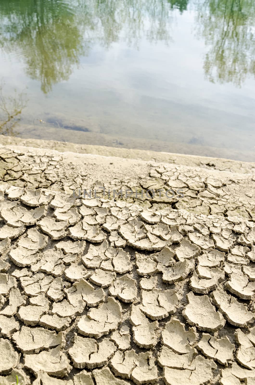 Dried and cracked soil at river band.