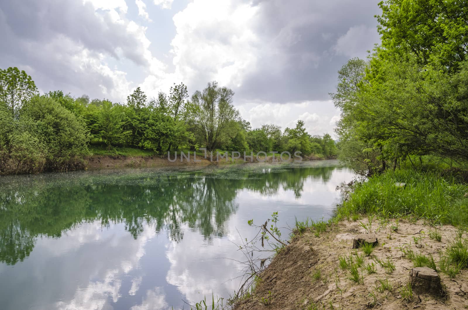 Ljubljanica river with dense vegetation on both riverbanks, Slovenia.