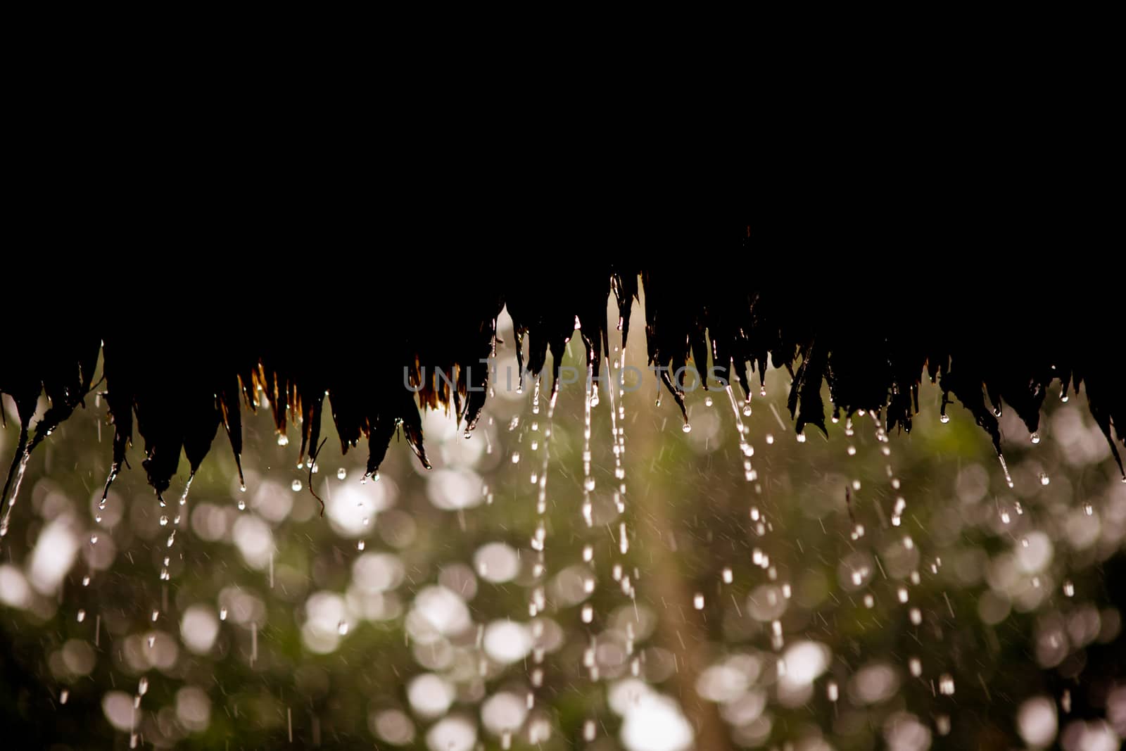 Falling rain drops sparkling as they enter the light on a dark night outdoors with copyspace