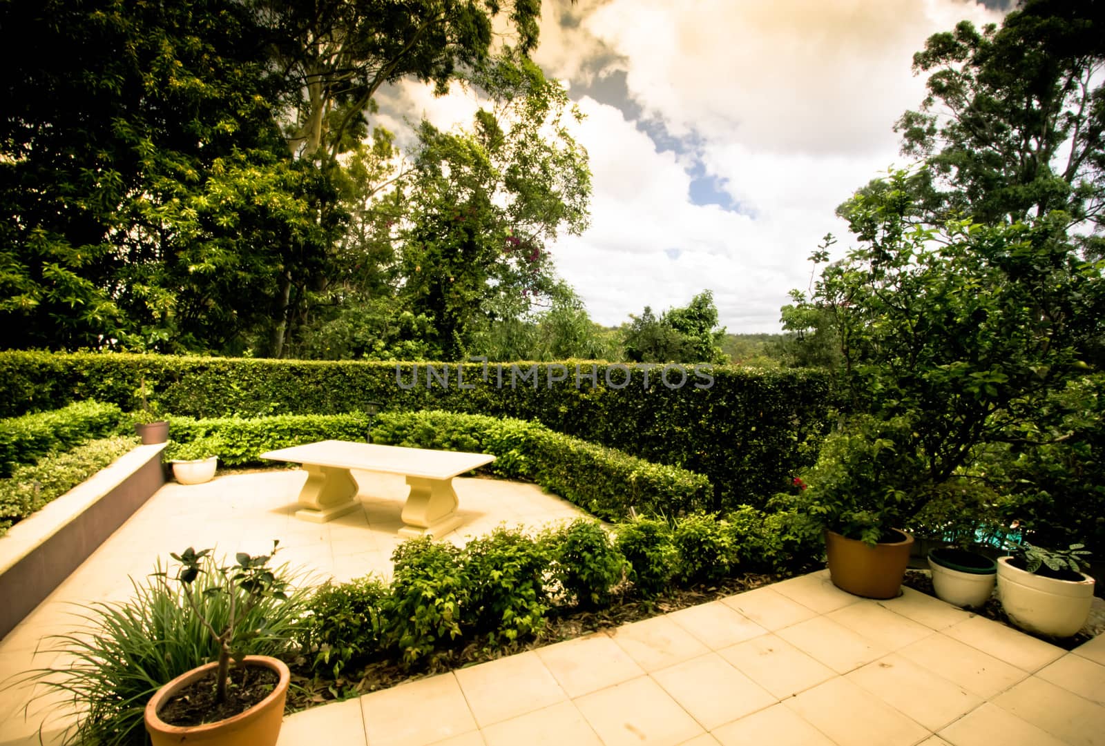 Outdoor garden terraces with a stone bench in a landscaped garden with formal trimmed hedges