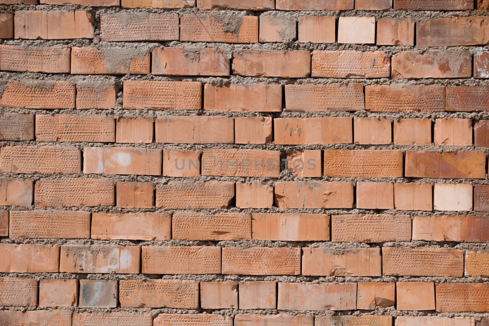 Background of brick wall texture  by schankz