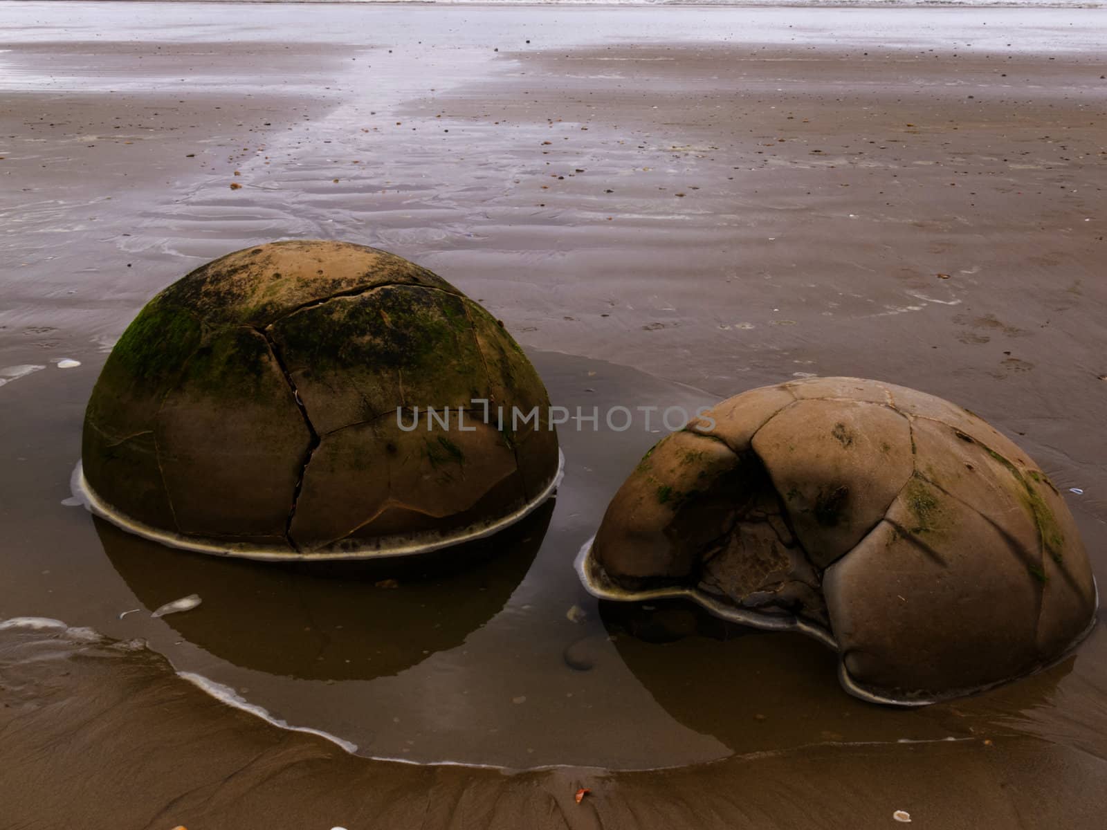 Close-up of famous New Zealand tourist attraction of Moeraki Boulders on East Coast of South Island Otago NZ