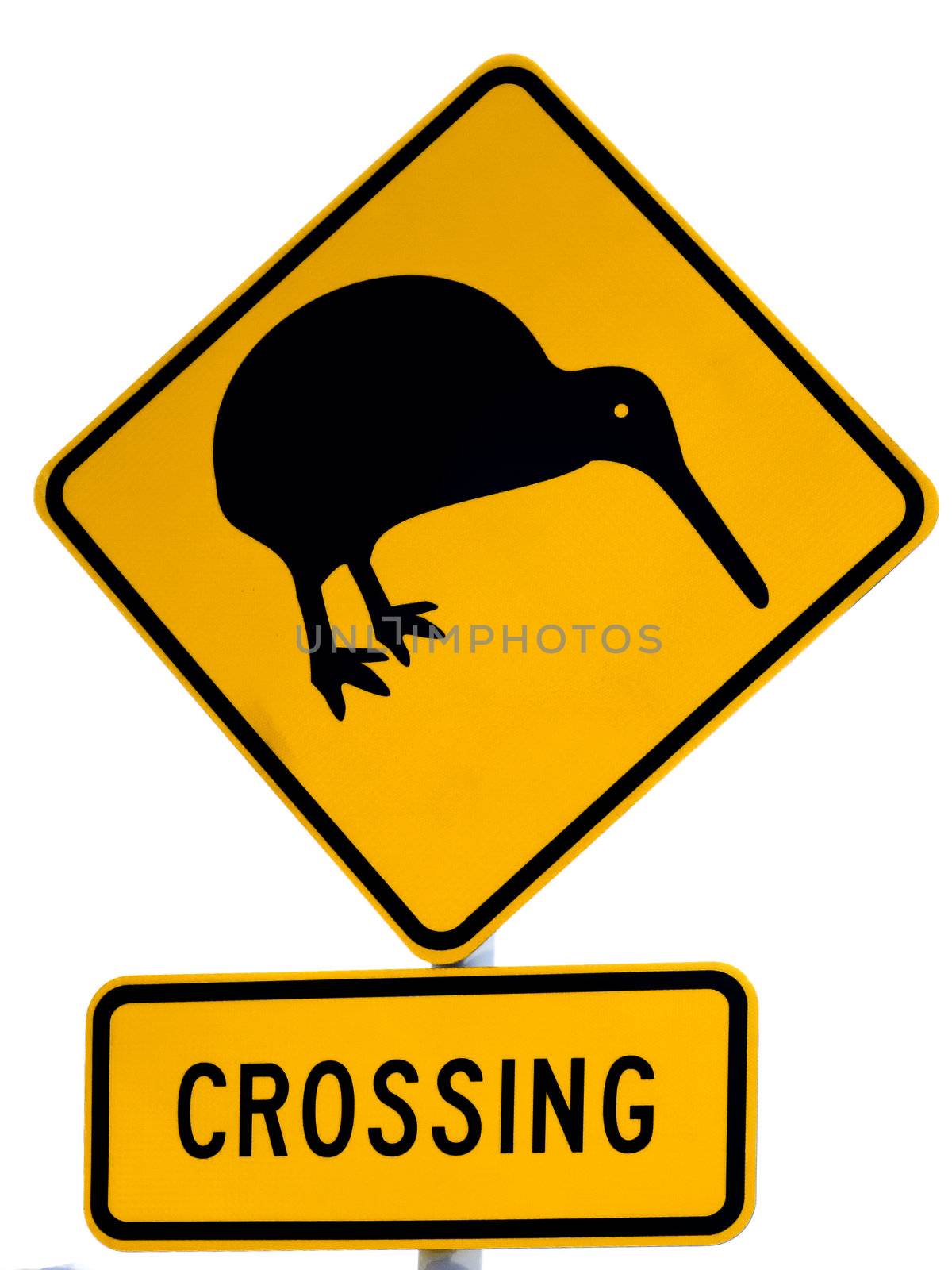 NZ Attention Kiwi Crossing Road Sign on White by PiLens