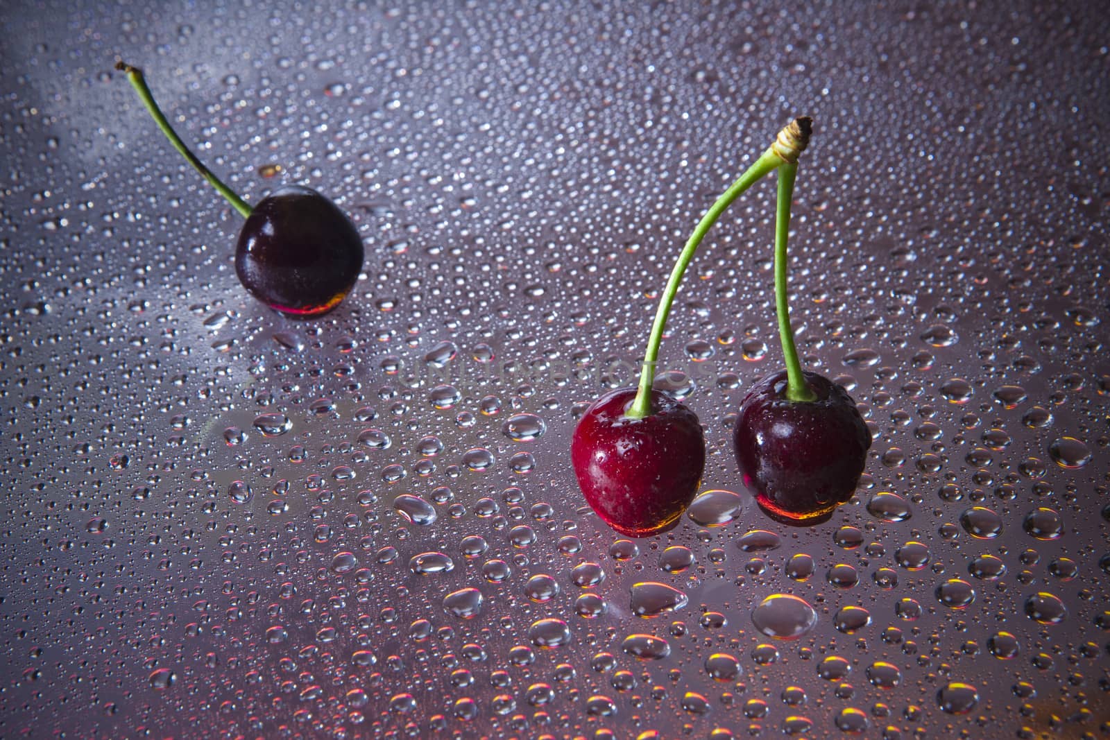 Sweet cherry. by vladimir_sklyarov
