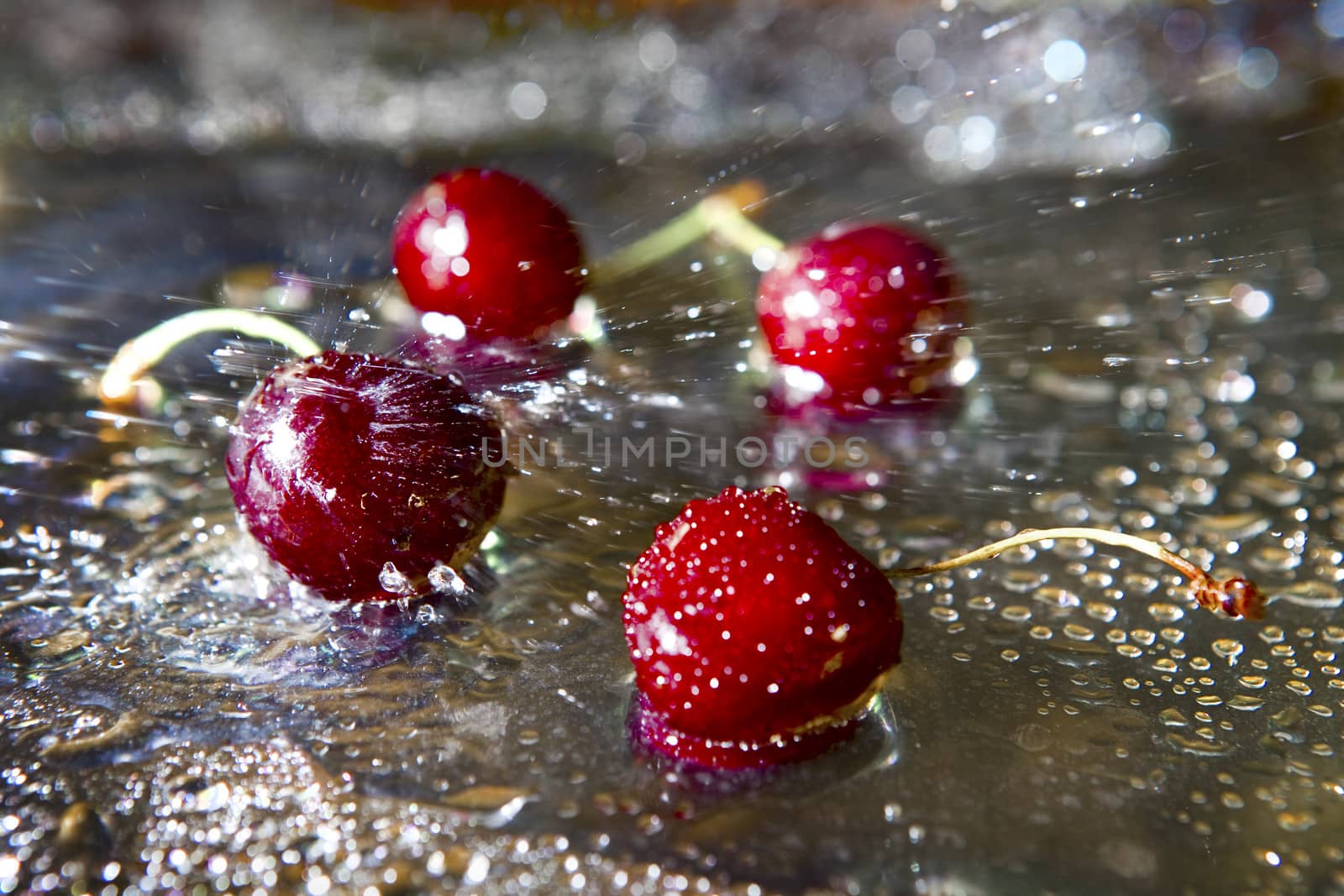 Wet sweet cherry with water droplets.