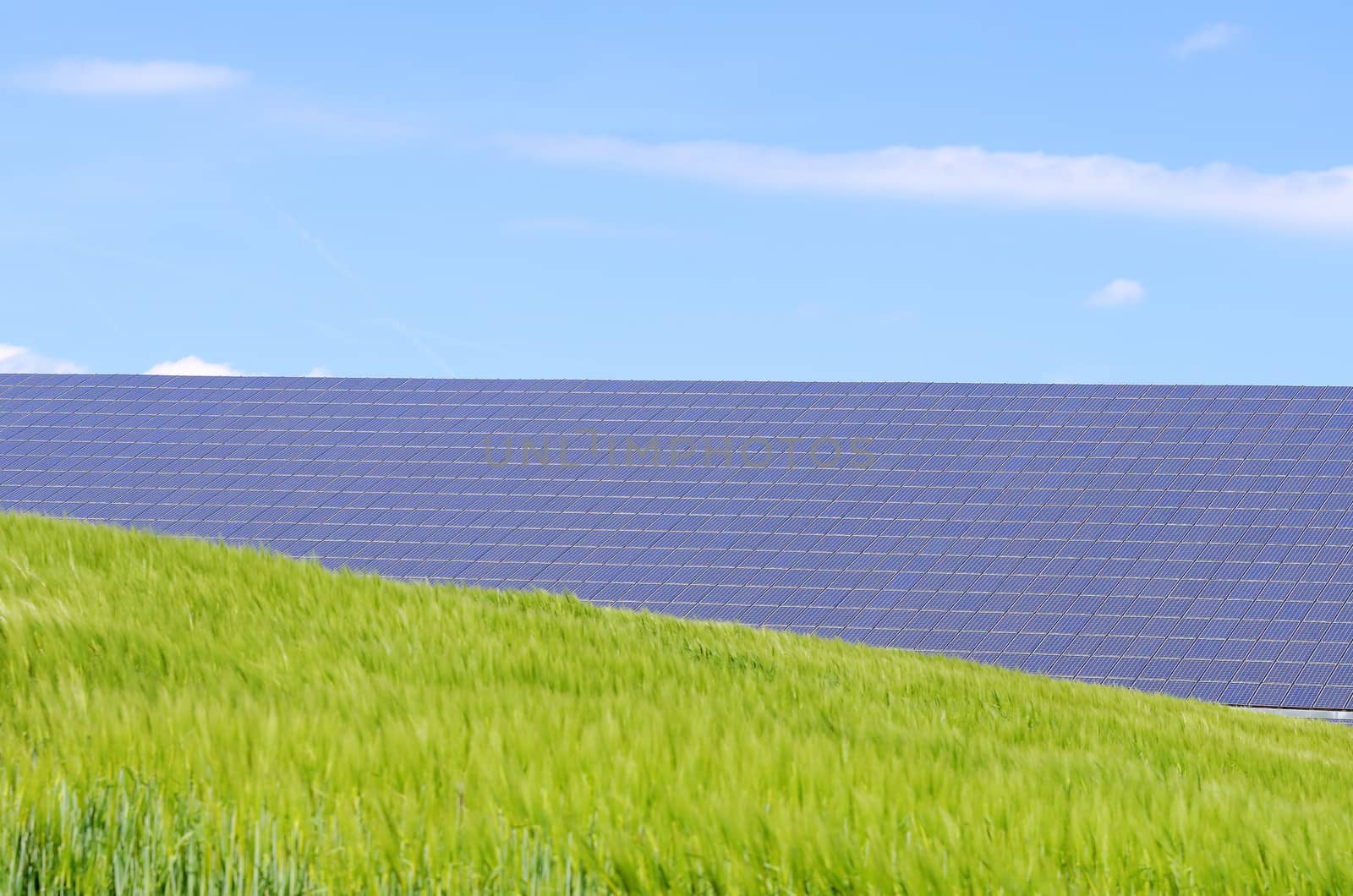 solar panels and green field