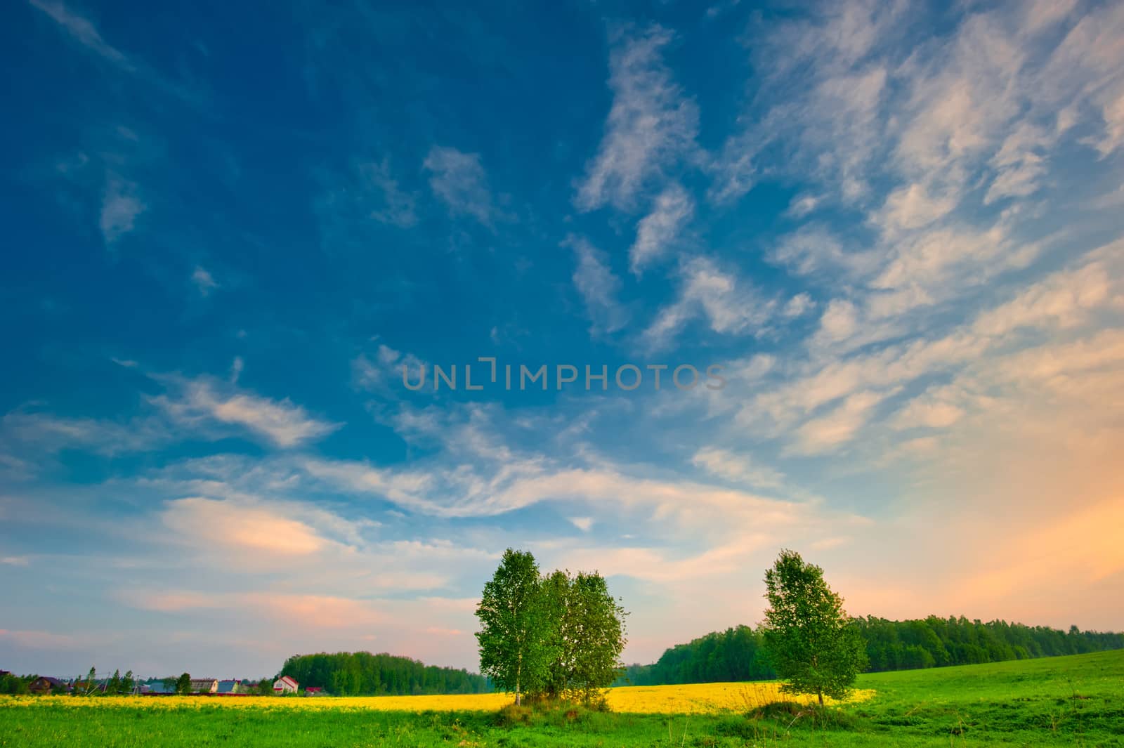 Summer landscape with a bright sky at sunrise