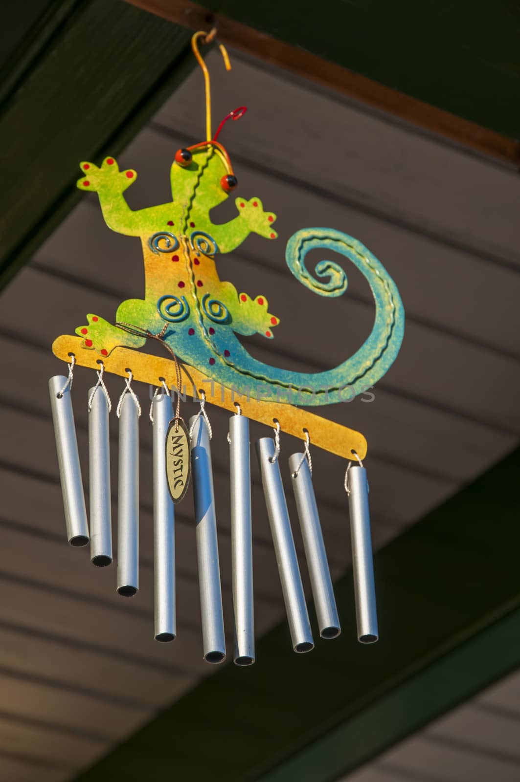 Decorative objects of a lizard with iron pipes