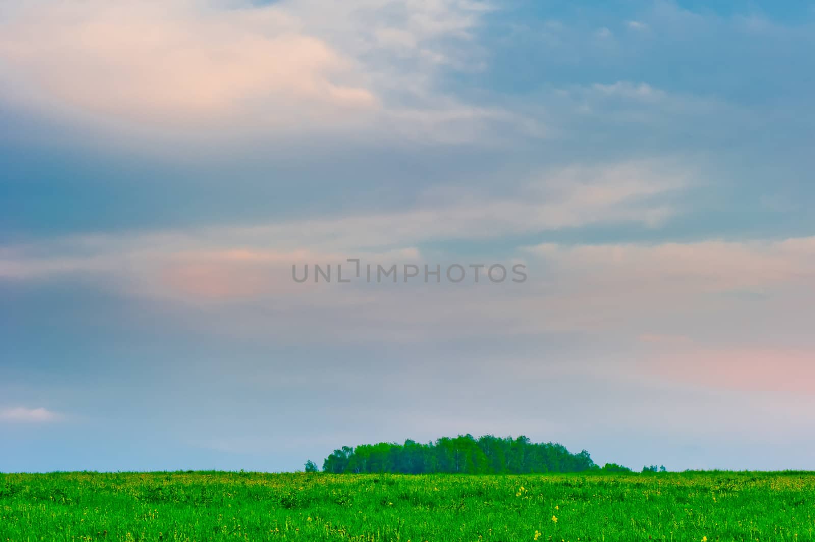 Rainy pre-dawn sky above a green meadow