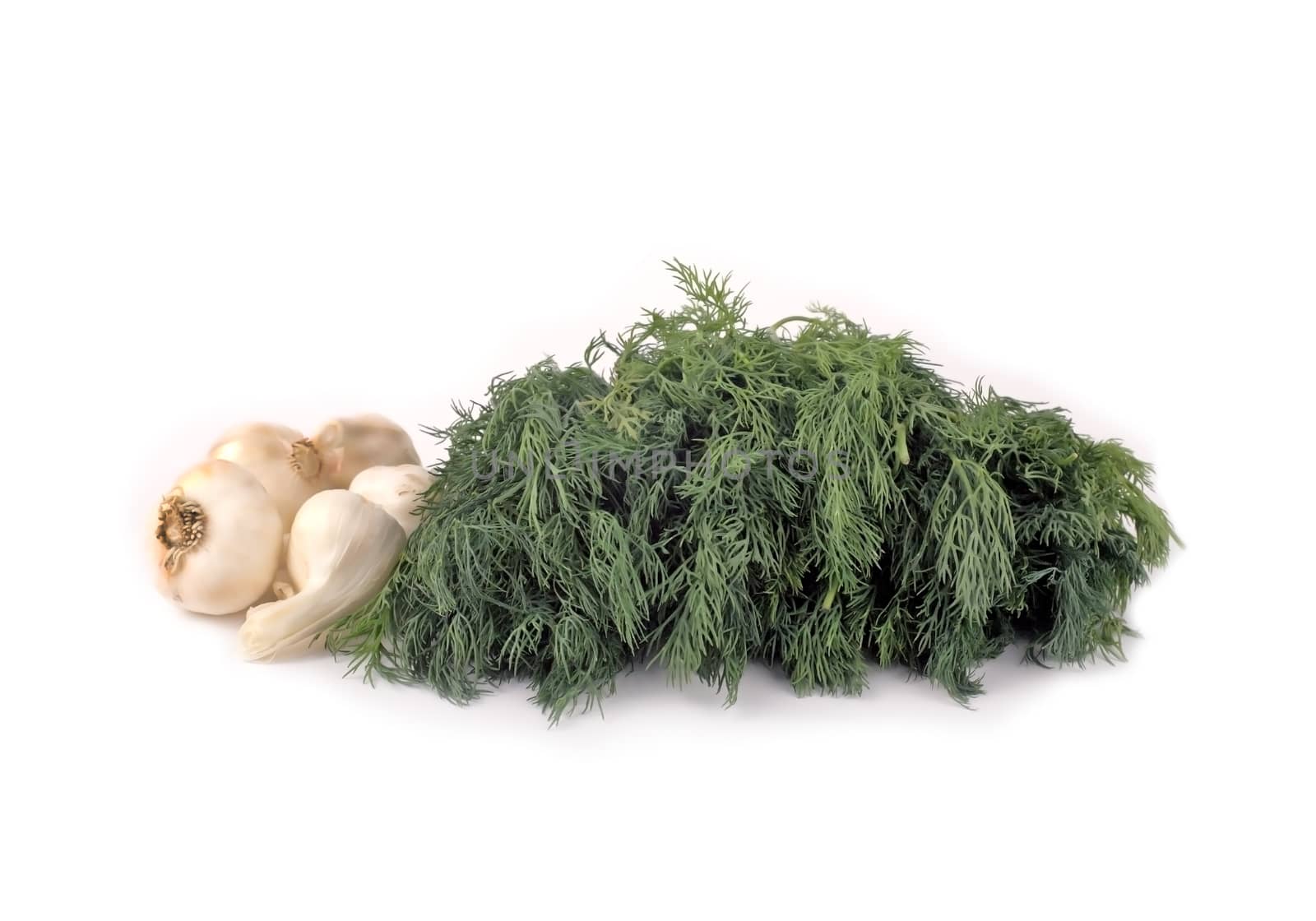 Food ingredients: dill and garlic isolated on white background