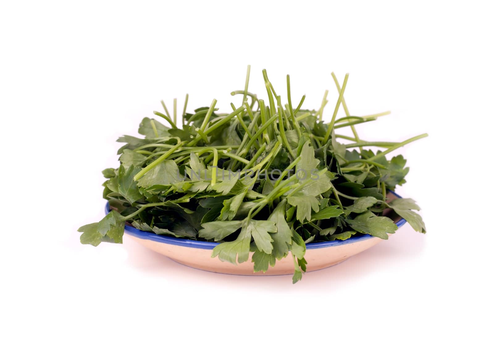 Fresh herbs: parsley on a plate isolated on white background