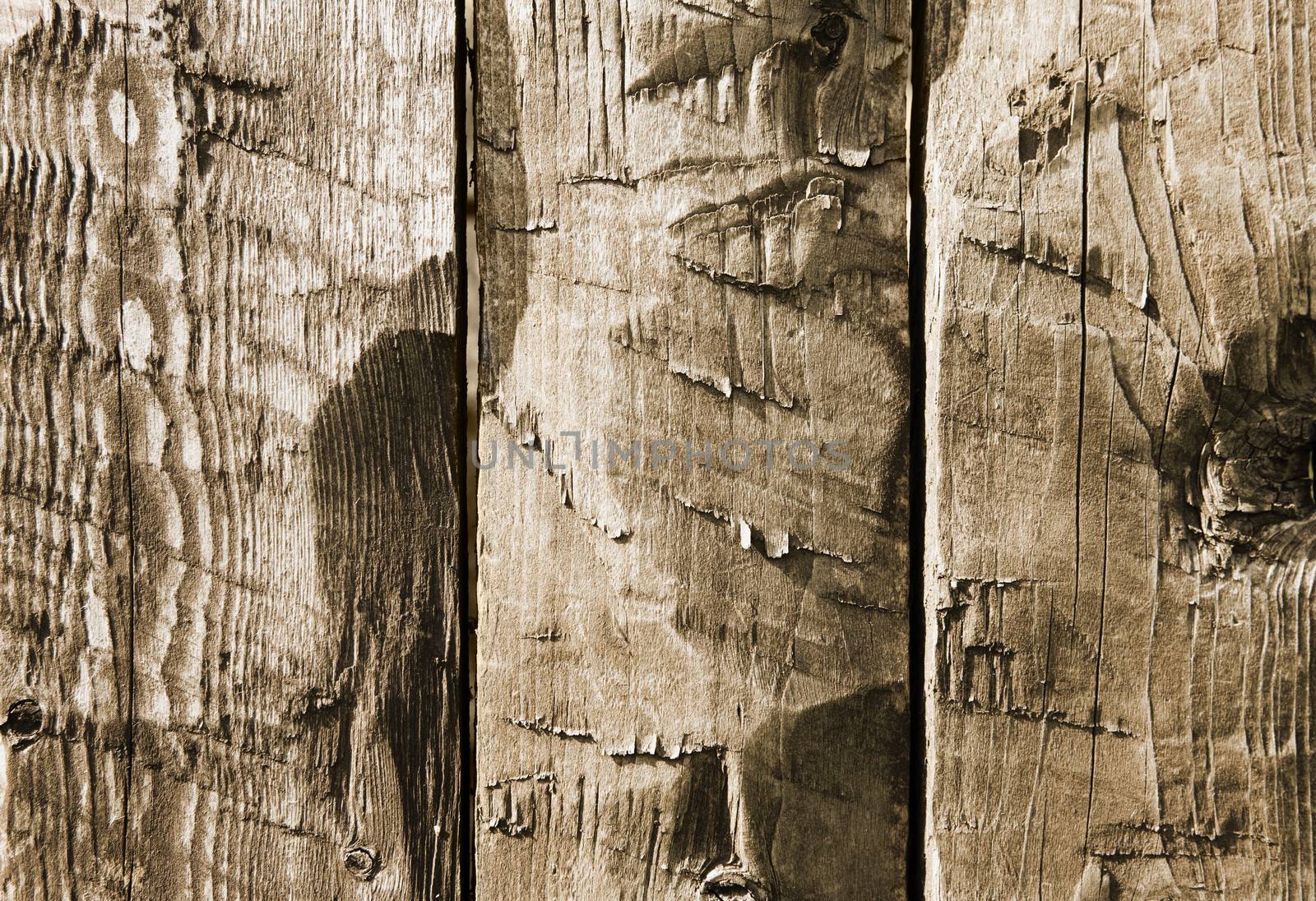 Old Wood Background. Old wooden planks.