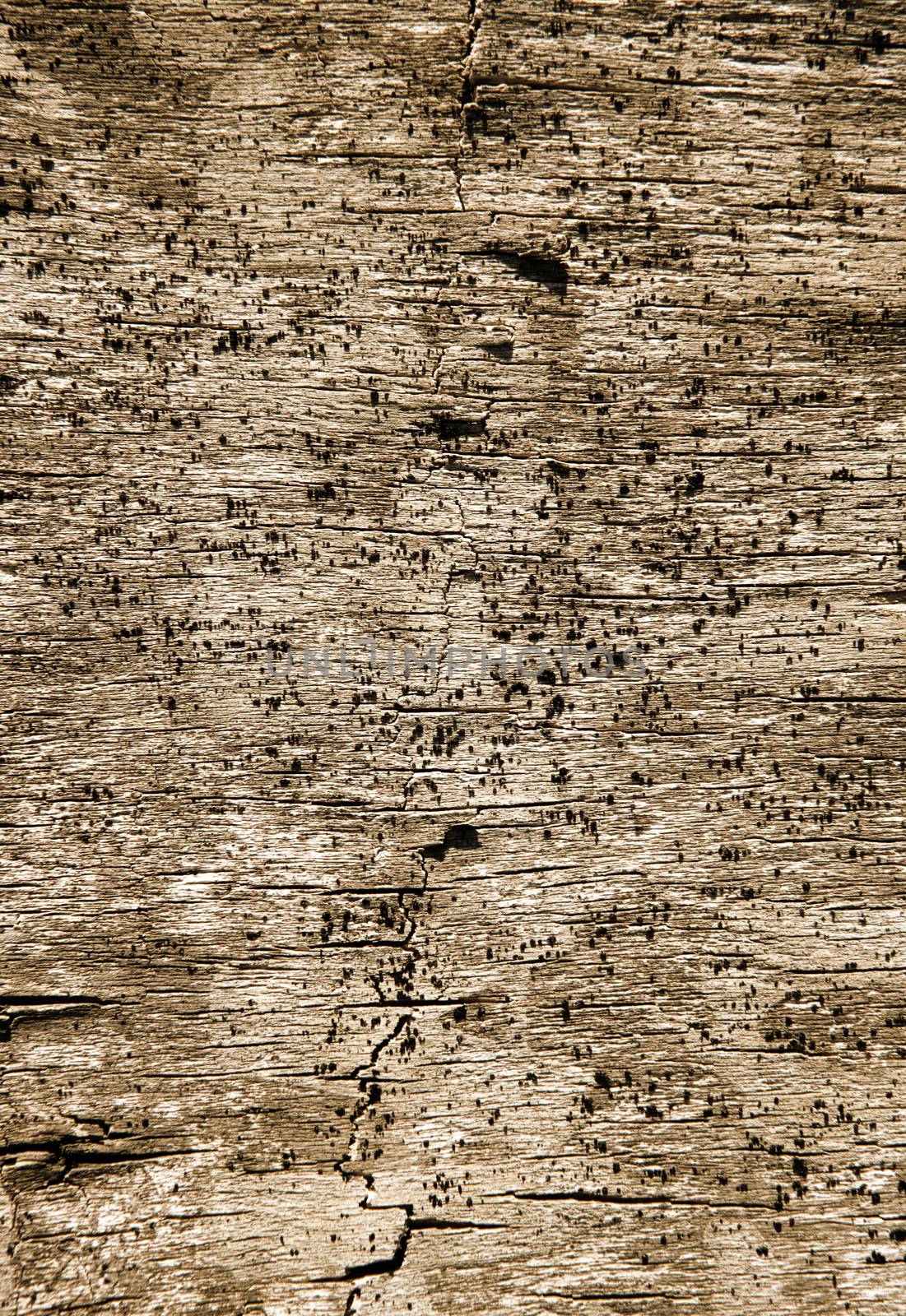 Old Wood Background. Old wooden planks.