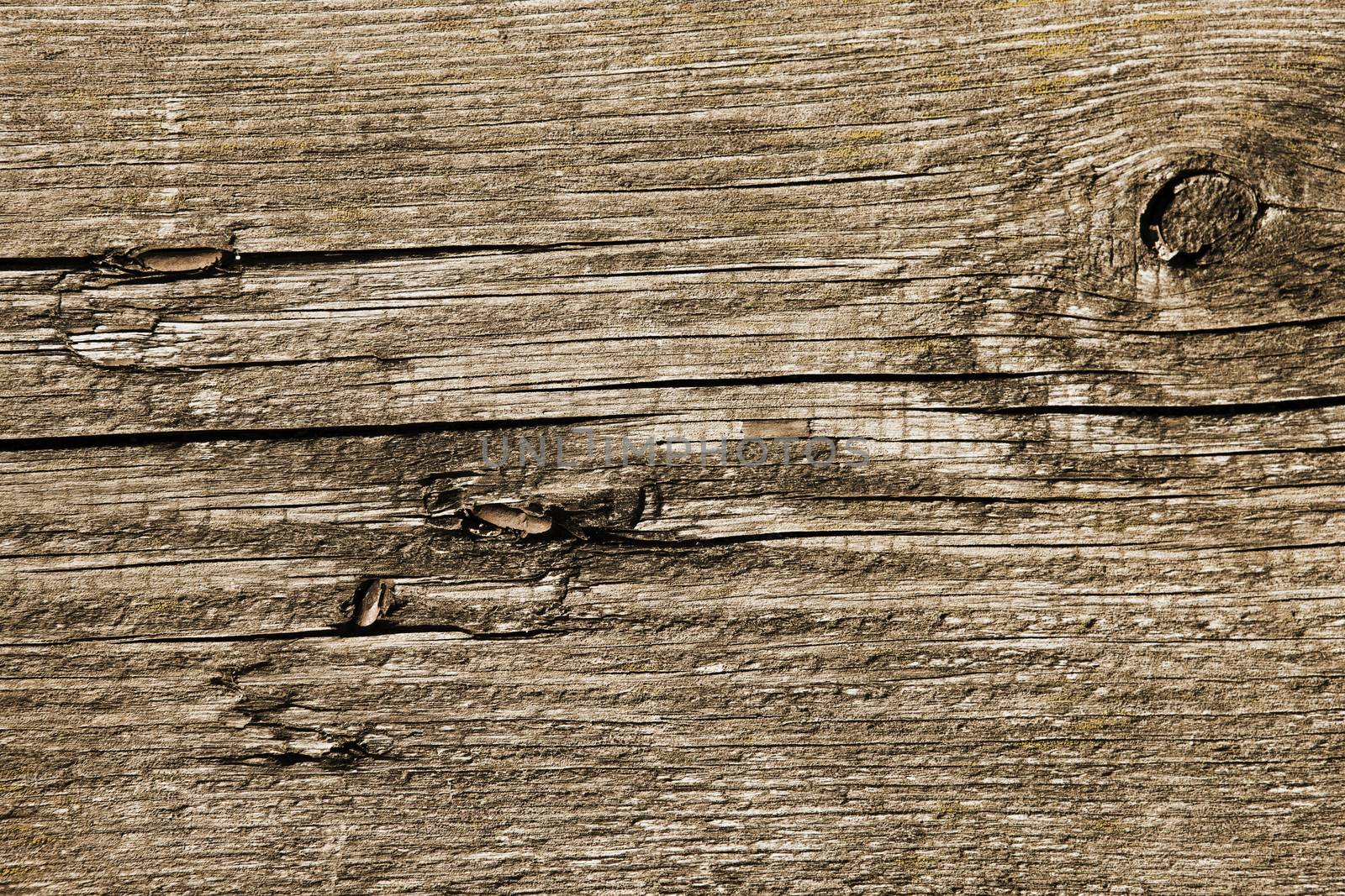 Old Wood Background by vladimir_sklyarov