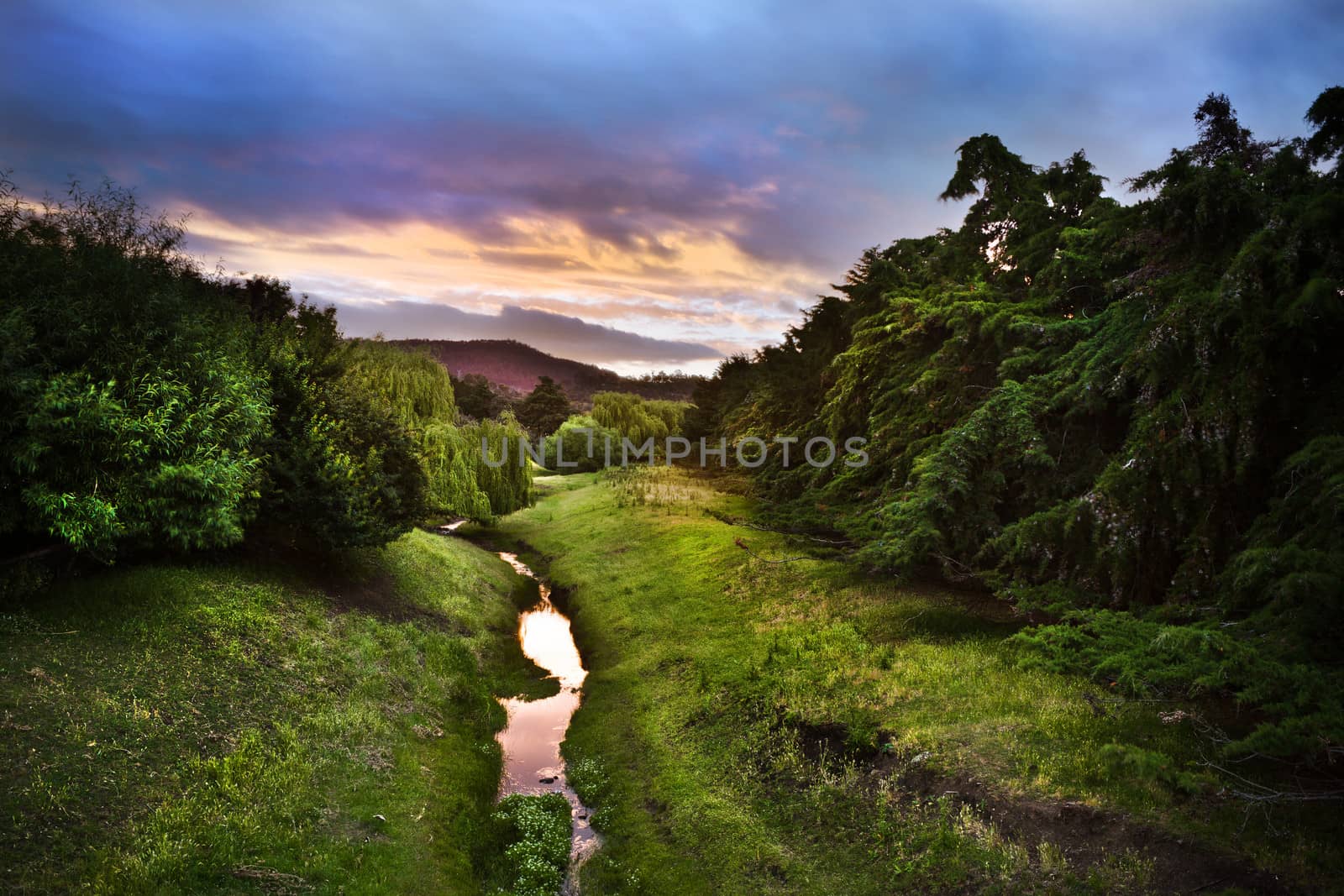River flowing through a lush green valley under a sunset sky with clouds