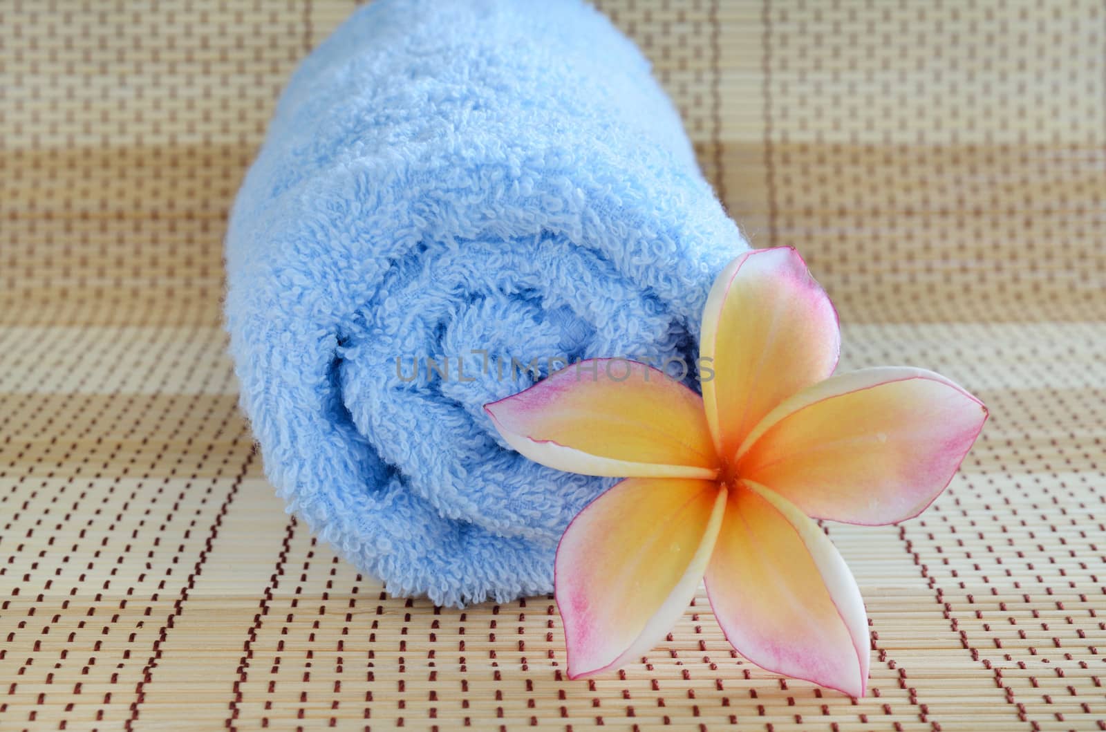 blue towel and plumeria flower on wooden background