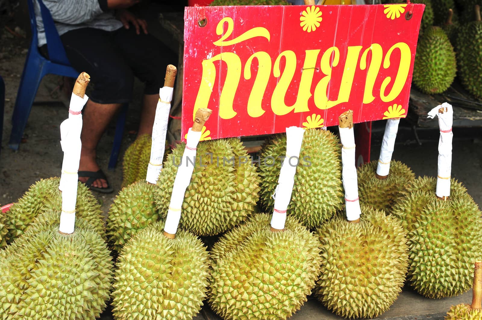 Fresh durian fruits in Thailand 
