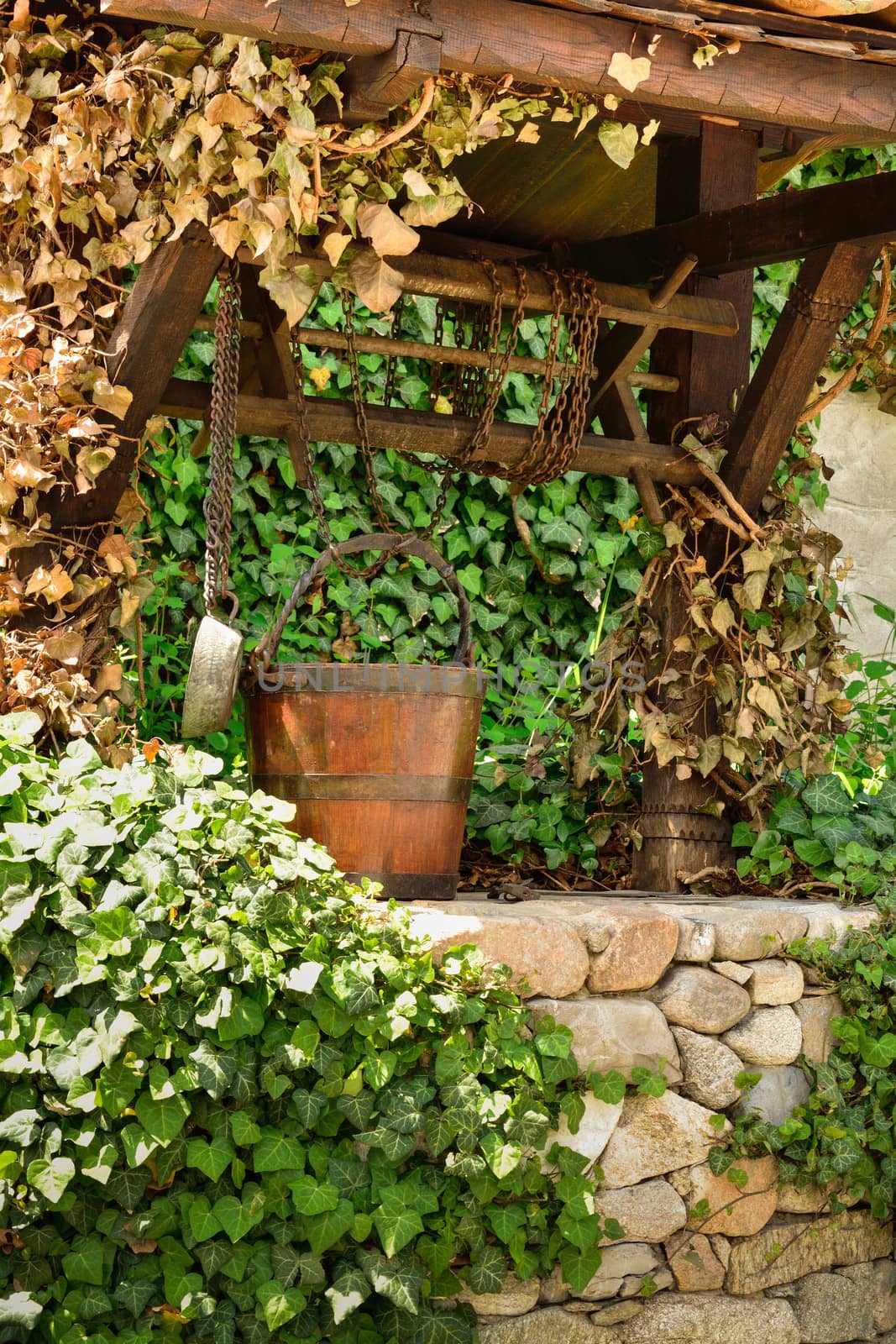 Old water well and a wooden bucket among ivy leaves by velislava