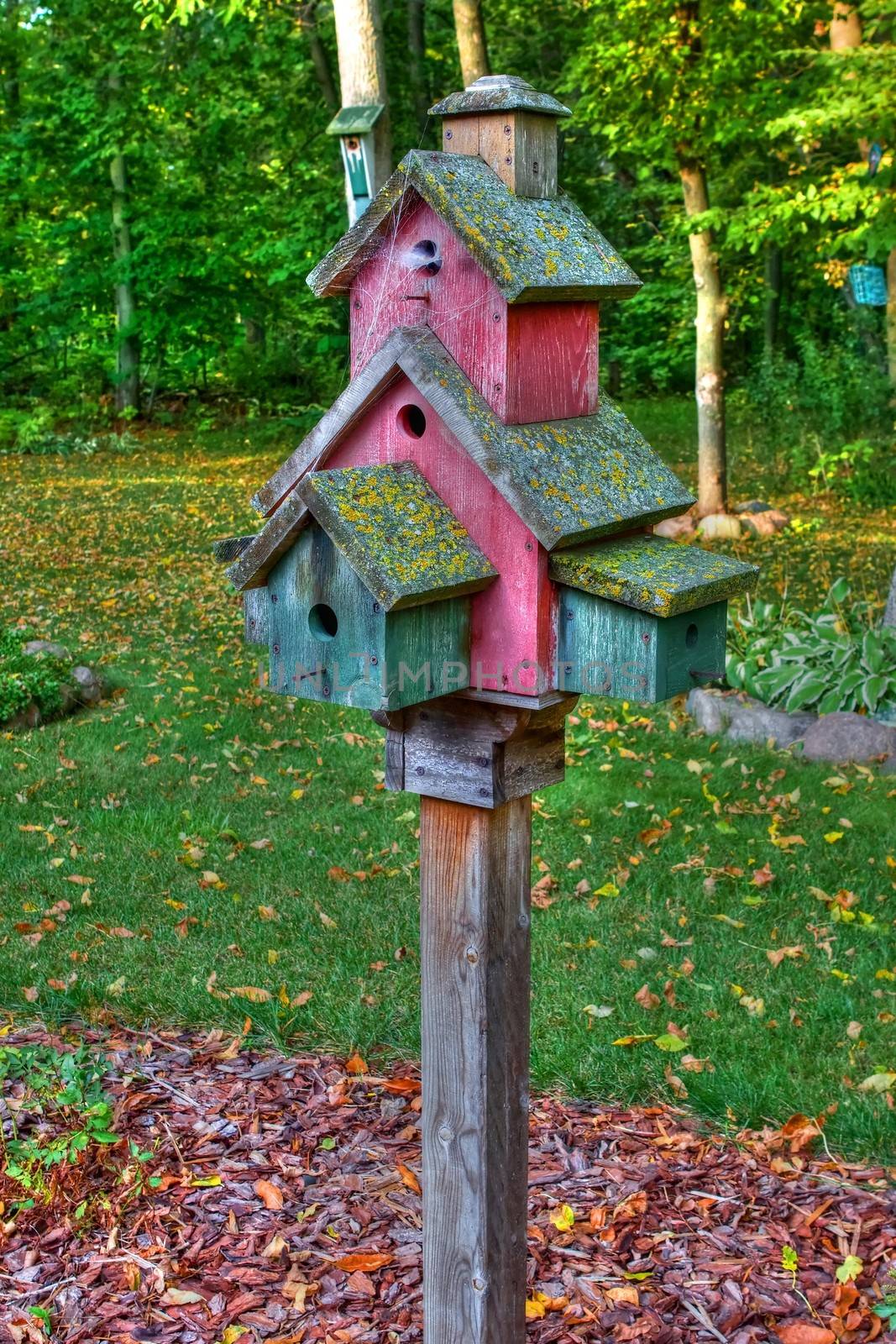 Abandoned Bird House with spider webs at the front door in High Dynamic Range.