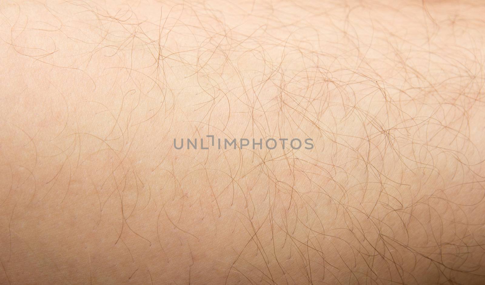 hairy skin as the background